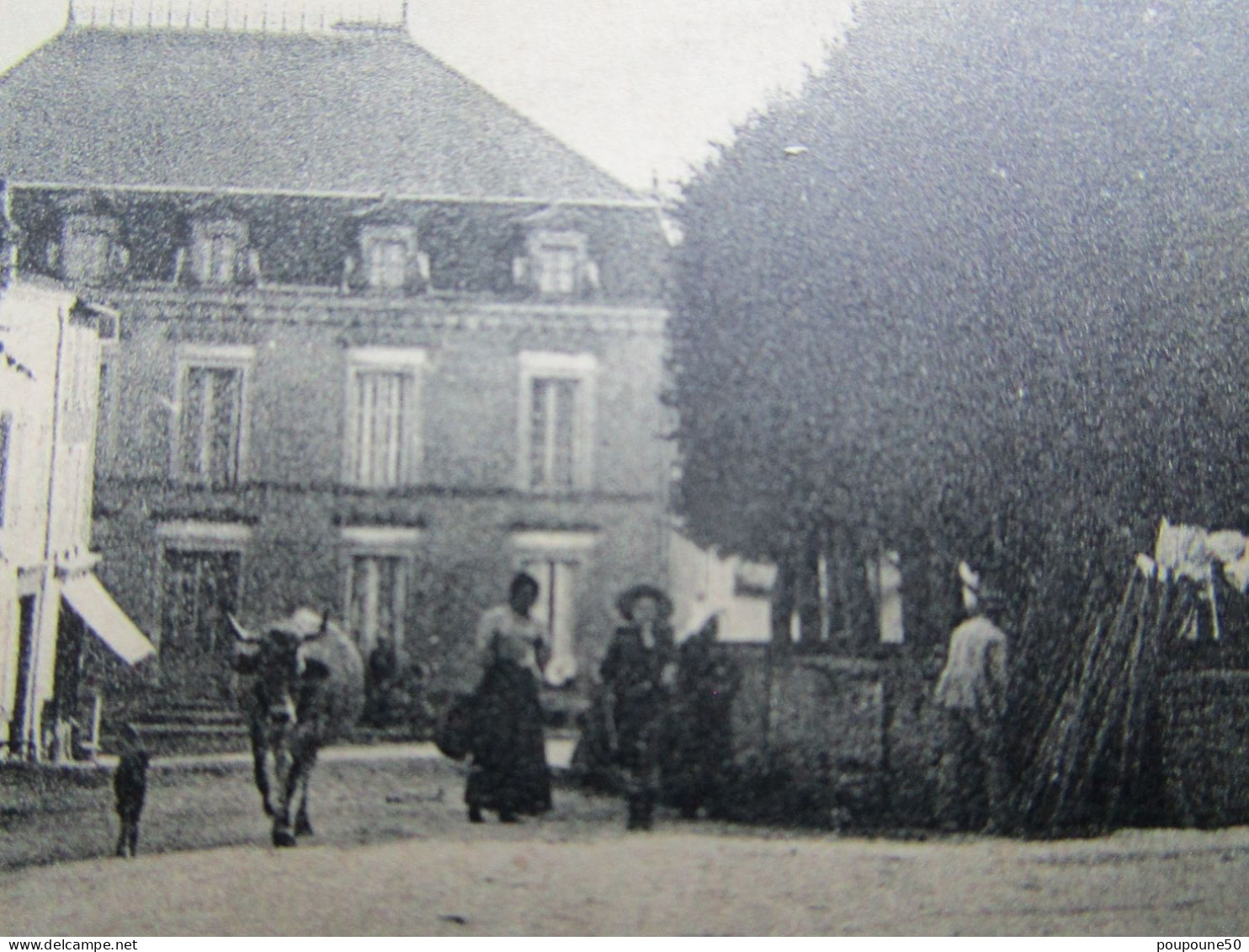 CPA 79 Les Deux Sèvres PAMPROUX - ( Côté Est) Vers La Mothe Saint Heray  Place Des Tilleuls , Vache  écrite 1910 - La Mothe Saint Heray