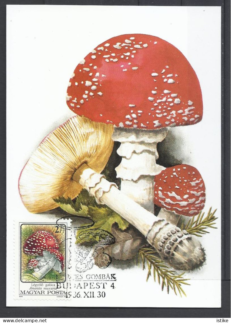 Hungary, Maximum Card, Toxic Mushrooms(Toadstools),  Amanita Muscaria,1986. - Maximumkarten (MC)