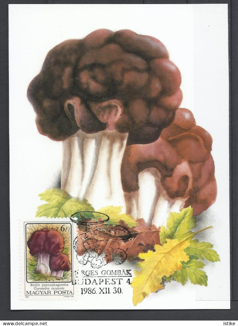 Hungary, Maximum Card, Toxic Mushrooms(Toadstools), Omphalotus Olearius,1986. - Tarjetas – Máximo