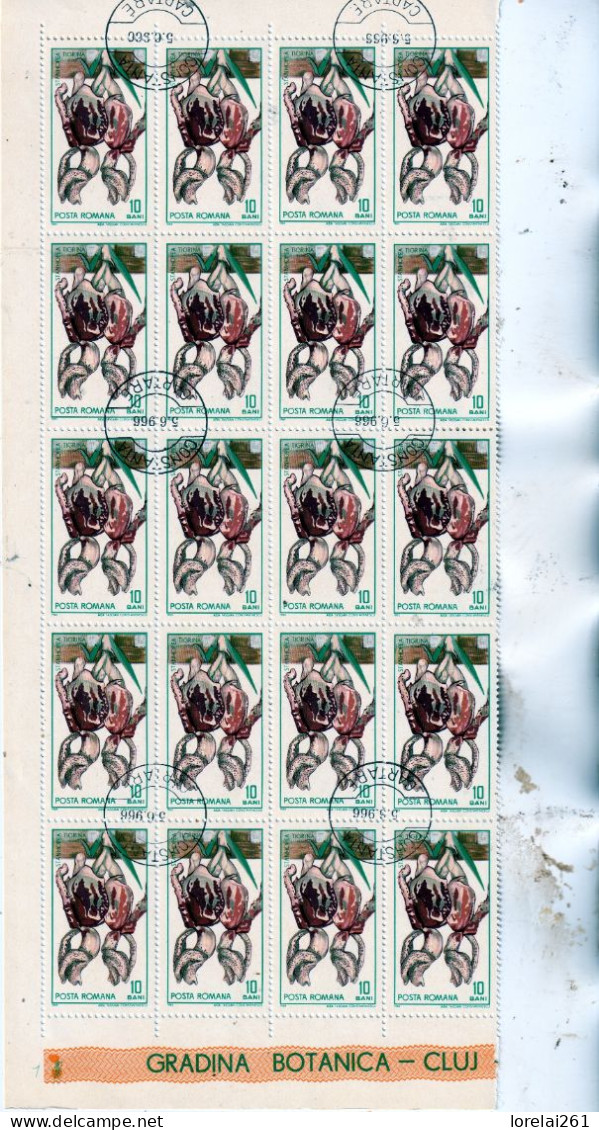 1965 - Jardin Botanique De Cluj FULL X 25 - Full Sheets & Multiples