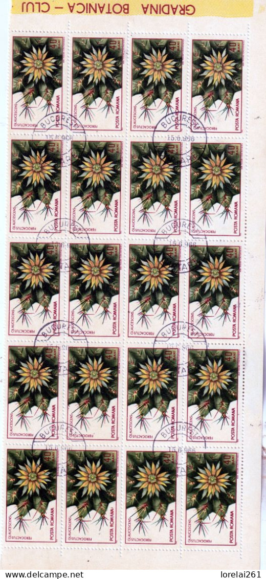 1965 - Jardin Botanique De Cluj FULL X 25 - Hojas Completas