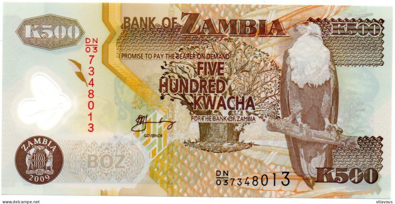 Aigle Eagle Zambie Zambia Billet Banque 500 Kwacha Bank-note Banknote Aigle - Sambia