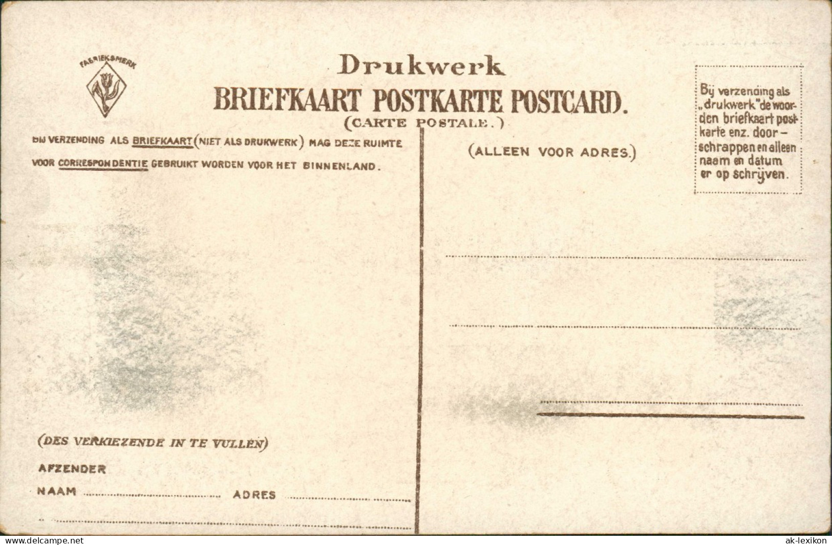 Postkaart Haarlem Groote Kerk Of St Bavo. 1908 - Haarlem