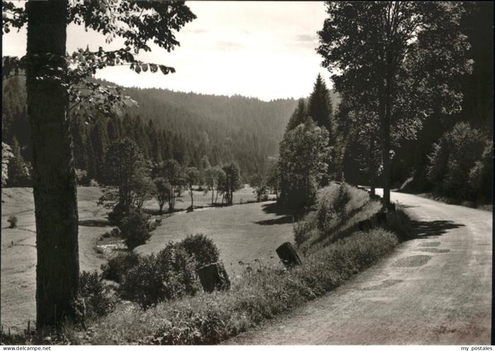 41208745 Altensteig Schwarzwald Nagoldtal Altensteig - Altensteig