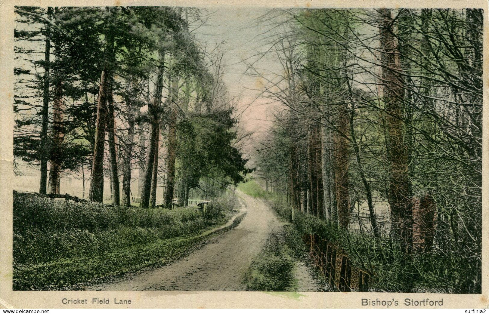 HERTS - BISHOP'S STORTFORD - CRICKET FIELD LANE 1906 Ht322 - Hertfordshire