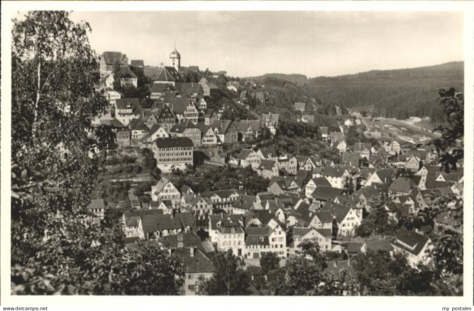 41208429 Altensteig Schwarzwald Gesamtansicht Altensteig - Altensteig