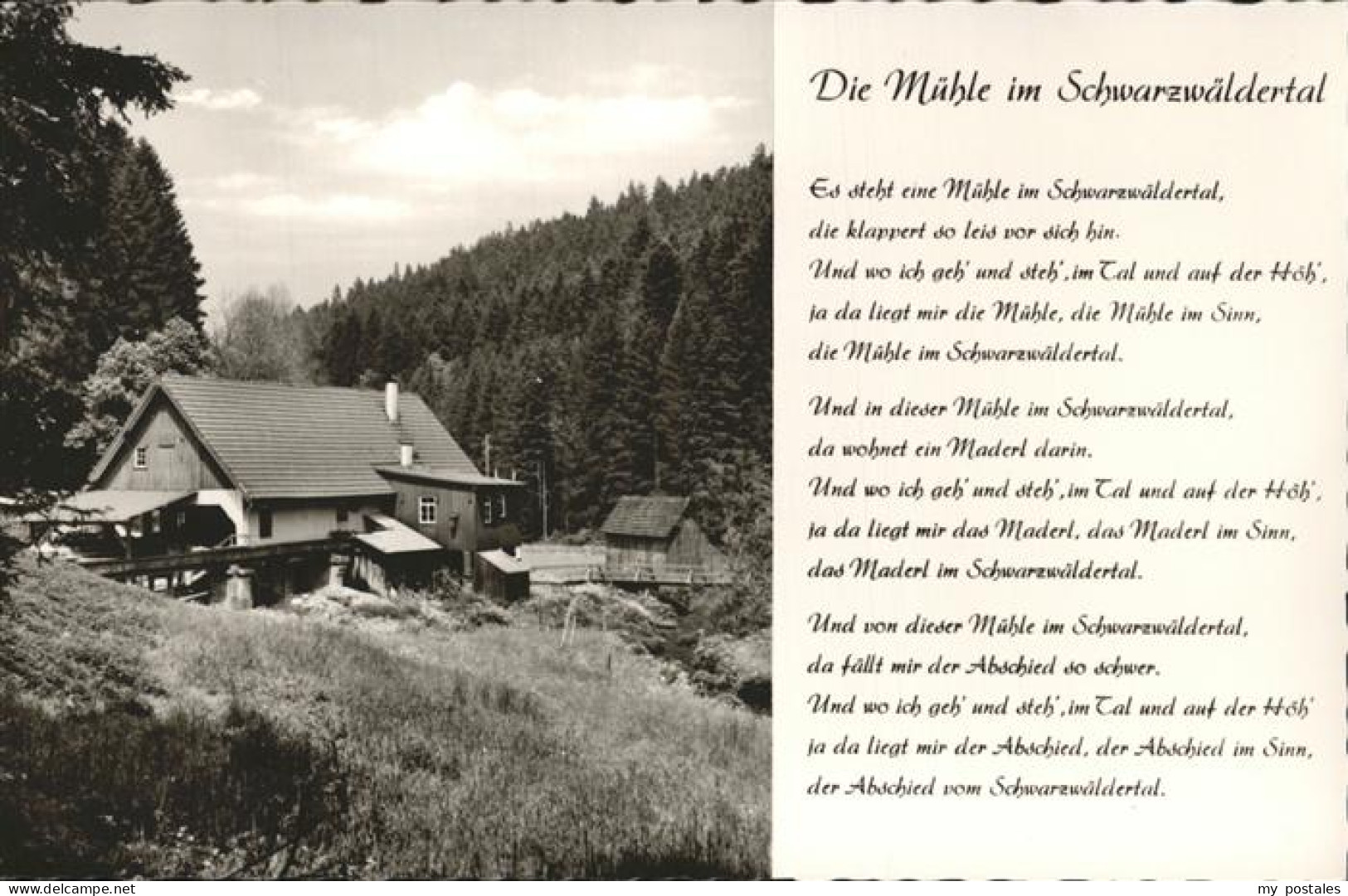 41208408 Altensteig Schwarzwald Gasthaus Kohlmuehle Altensteig - Altensteig