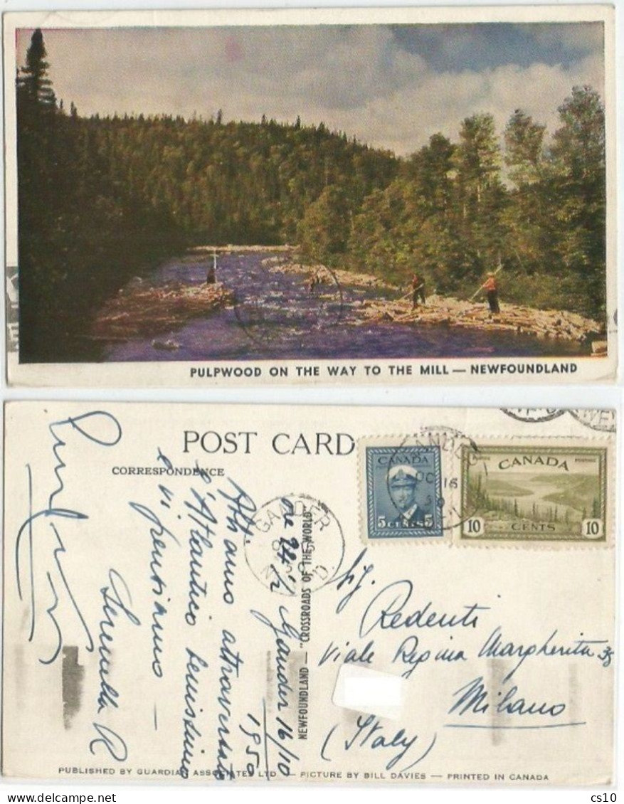 Canada Newfoundland NFLD  Pulpwood On The Way To The Mill - Color PPC Gander 16oct1950 X Italy C.5 King + C.10 Landscape - Andere & Zonder Classificatie