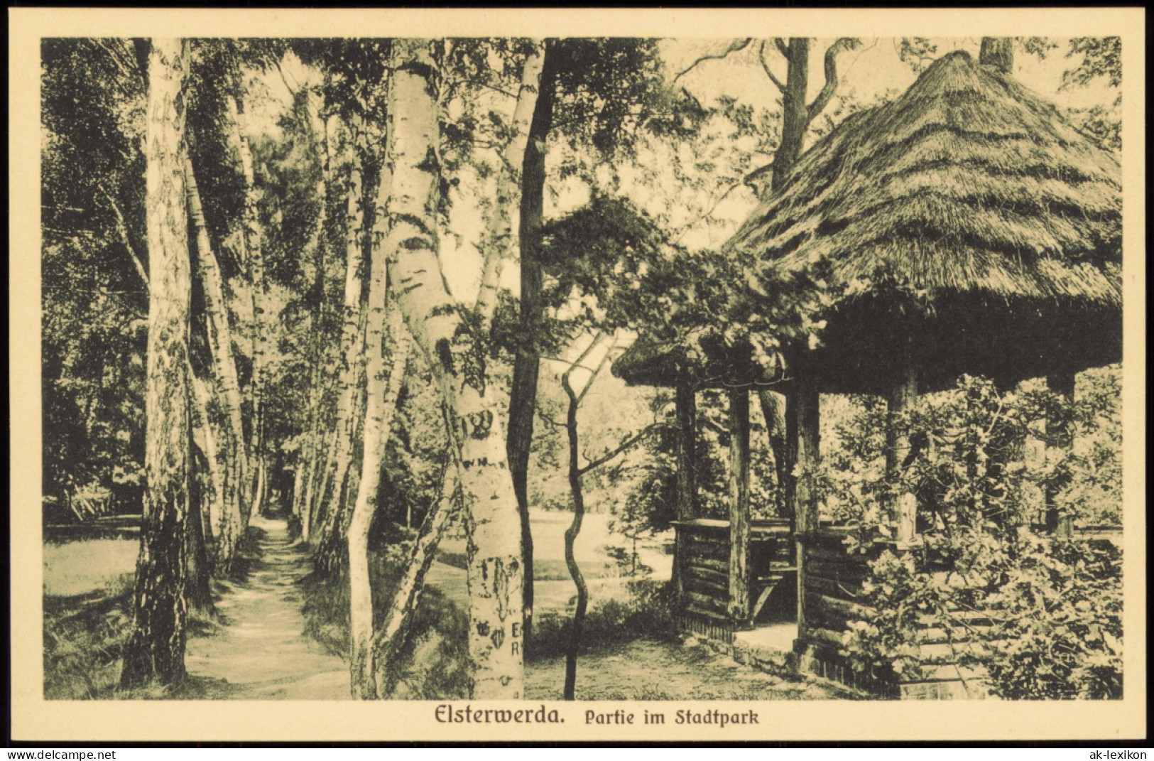 Ansichtskarte Elsterwerda Wikow Stadtpark, Birkenhain Pavillon 1924 - Elsterwerda