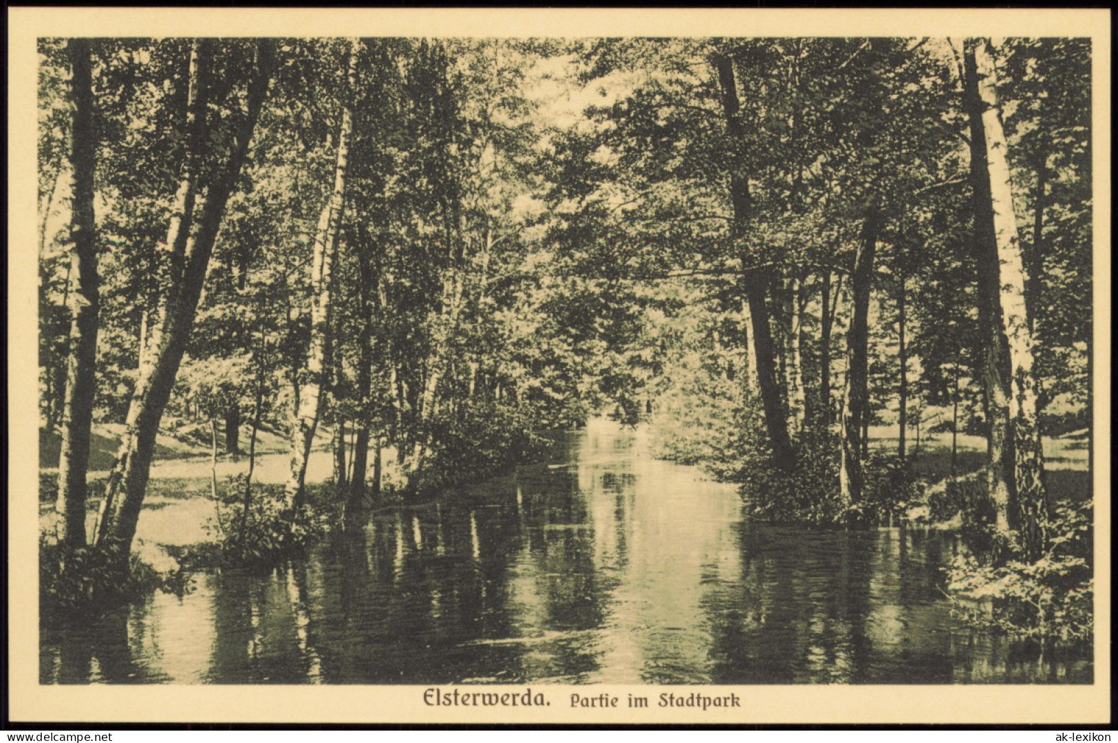 Ansichtskarte Elsterwerda Wikow Partie Im Stadtpark 1924 - Elsterwerda