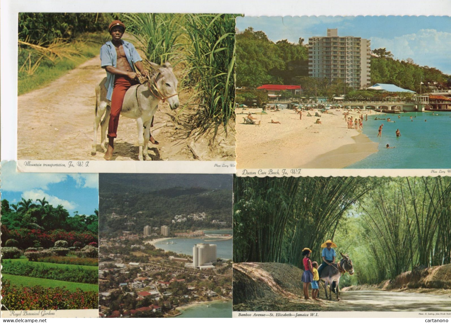 JAMAIQUE - 5 Affranchissements Sur Cartes Postales - Jamaique (1962-...)