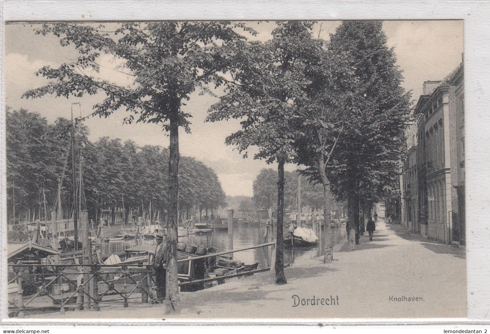 Dordrecht. Knolhaven. * - Dordrecht