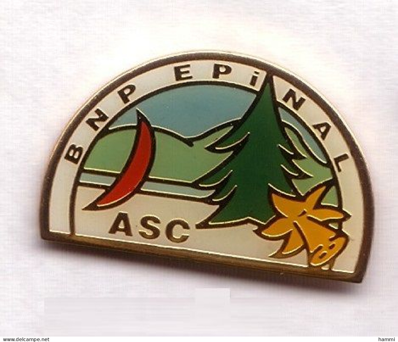 S38 Pin's Banque Bank ASC BNP Épinal Fleur Jonquille Daffodil Sapin Planche à Voile Vosges Achat Immédiat - Bancos