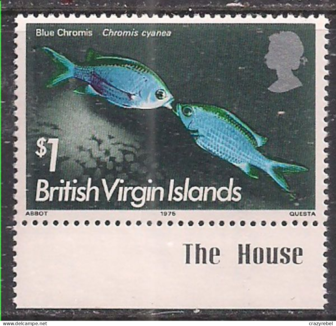 British Virgin Islands 1975 QE2 $1 Fish SG 343w MNH ( H1007 ) - British Virgin Islands