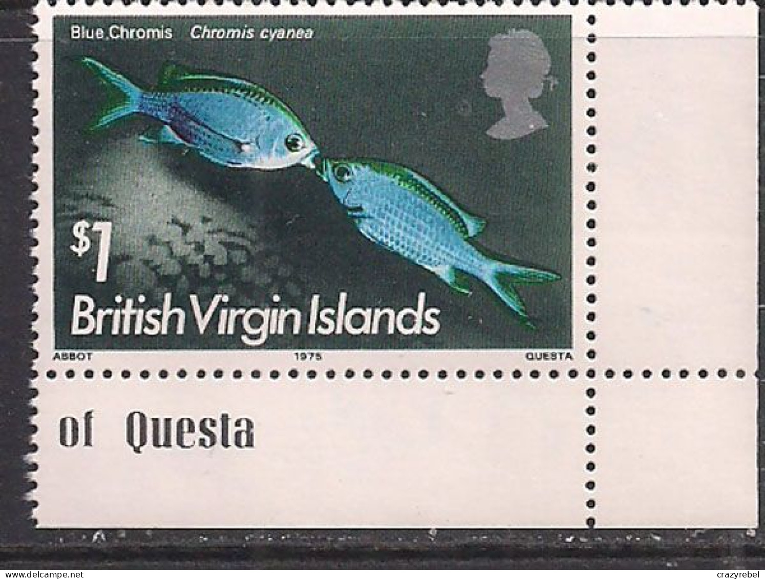British Virgin Islands 1975 QE2 $1 Fish SG 343w MNH ( H980 ) - British Virgin Islands
