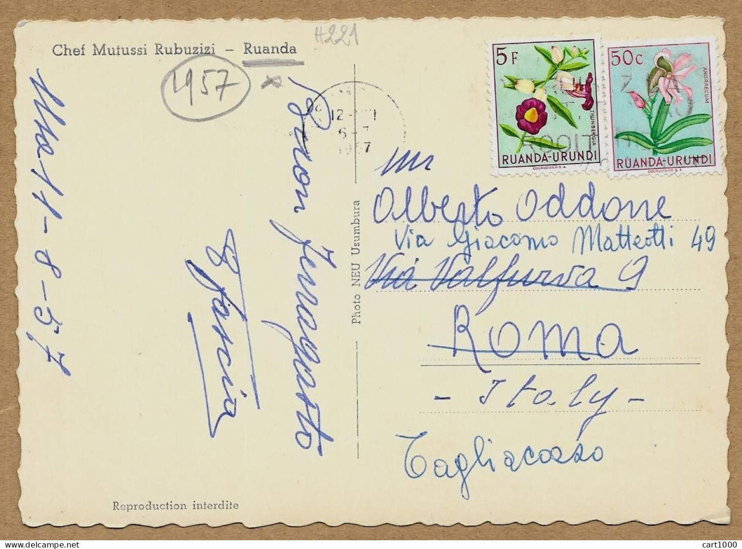 RUANDA CHEF MUTUSSI RUBUZIZI 1957 N°H221 - Ruanda-Urundi