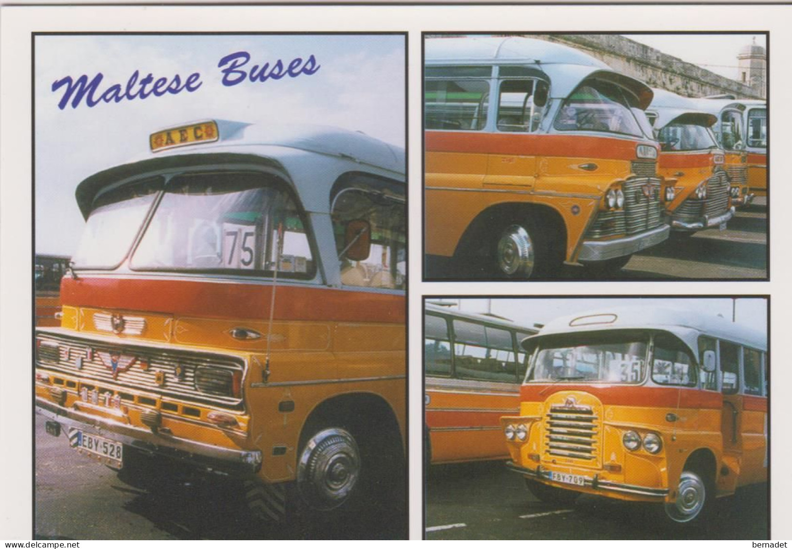 MALTE . MALTESE BUSES . BUS MALTAIS . BEDFORD LEYLAND - Malta