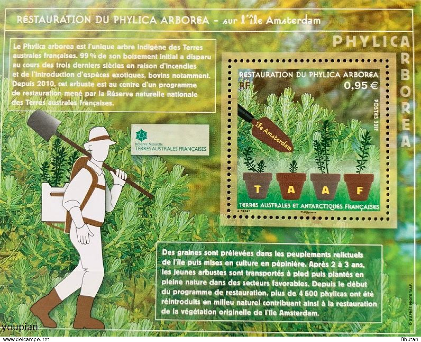 French Antarctic Territories 2019, Phylica Arborea, MNH S/S - Unused Stamps
