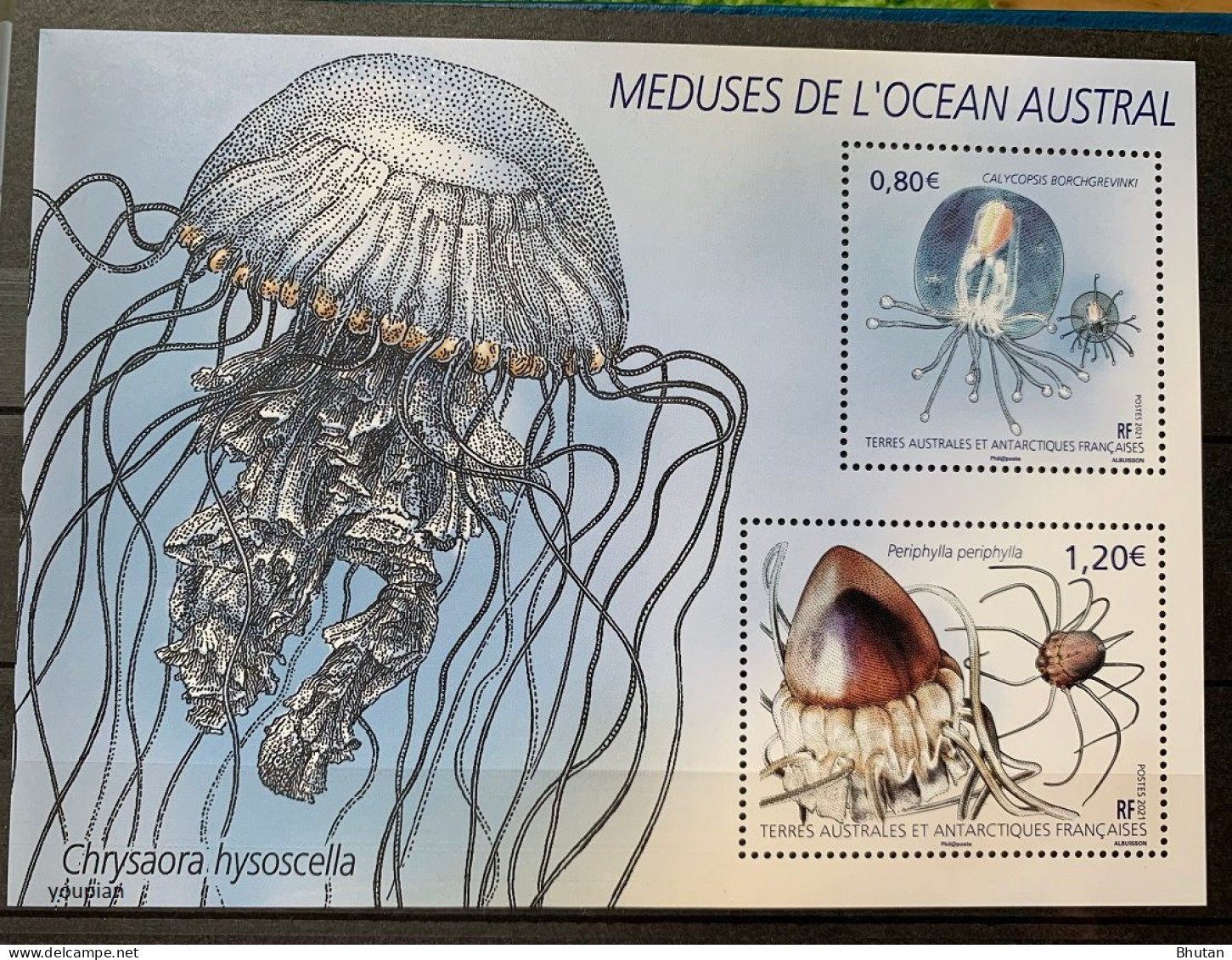 French Antarctic Territories 2021, Jellyfishes, MNH S/S - Unused Stamps