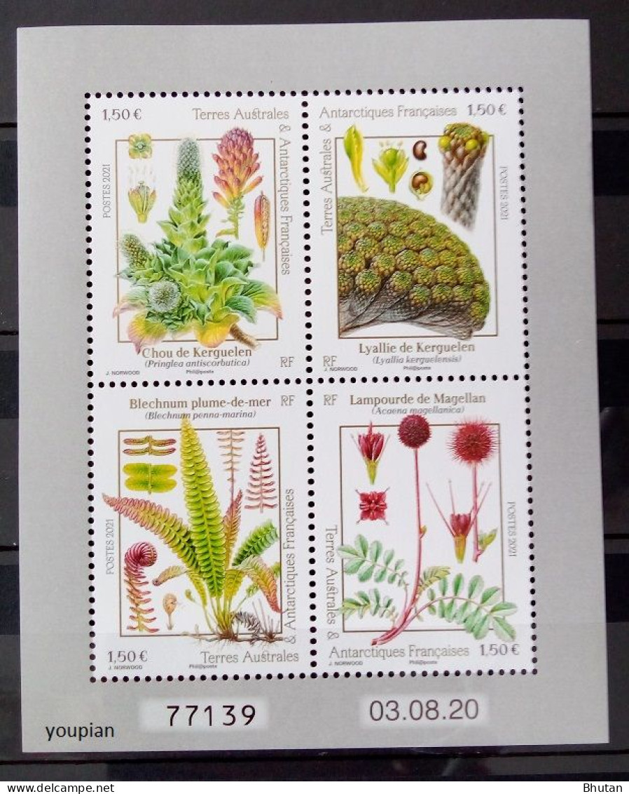 French Antarctic Territories 2021, Plants, MNH S/S - Nuovi