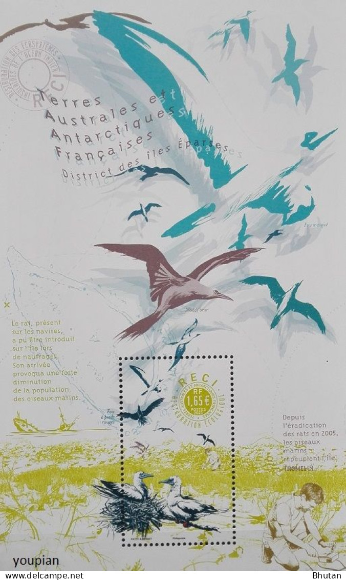 French Antarctic Territories 2023, Ecological Restoration, MNH S/S - Unused Stamps