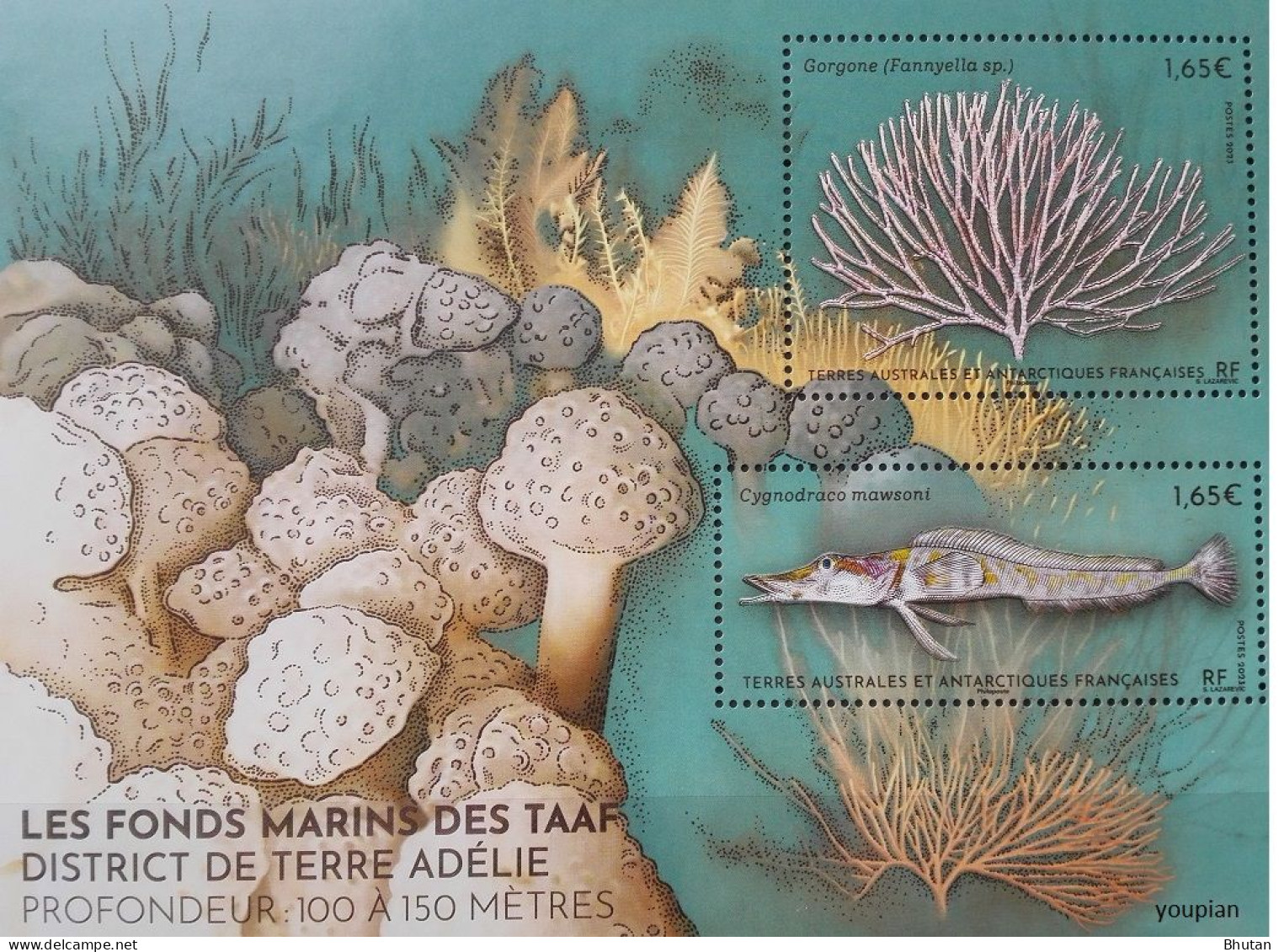 French Antarctic Territories 2023, Endemic Marine Fauna Of Adele Island, MNH S/S - Nuovi