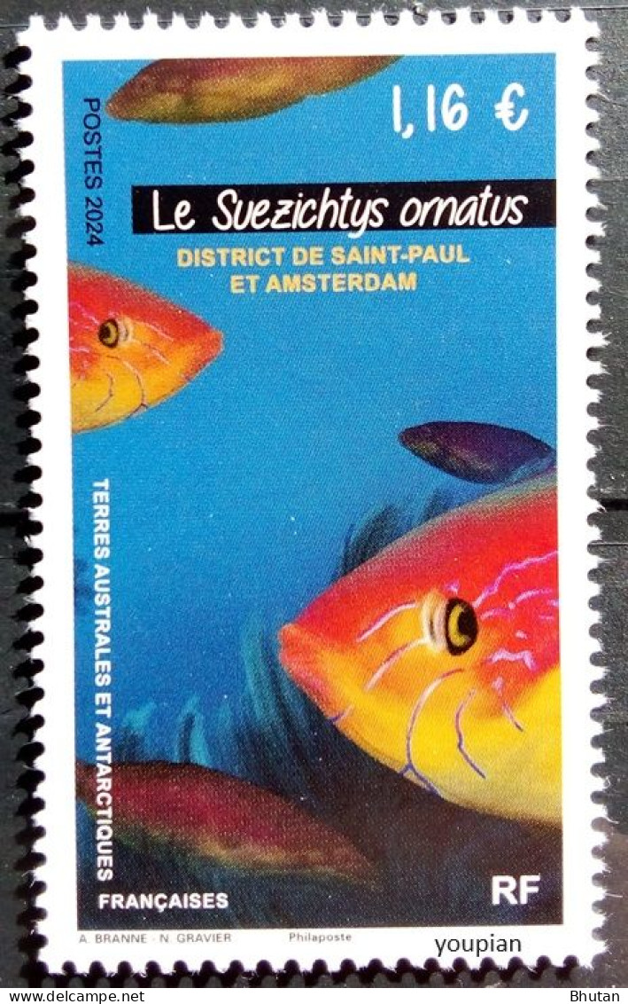 French Antarctic Territories 2024, Fish Suezichtys Ornatus, MNH Single Stamp - Unused Stamps