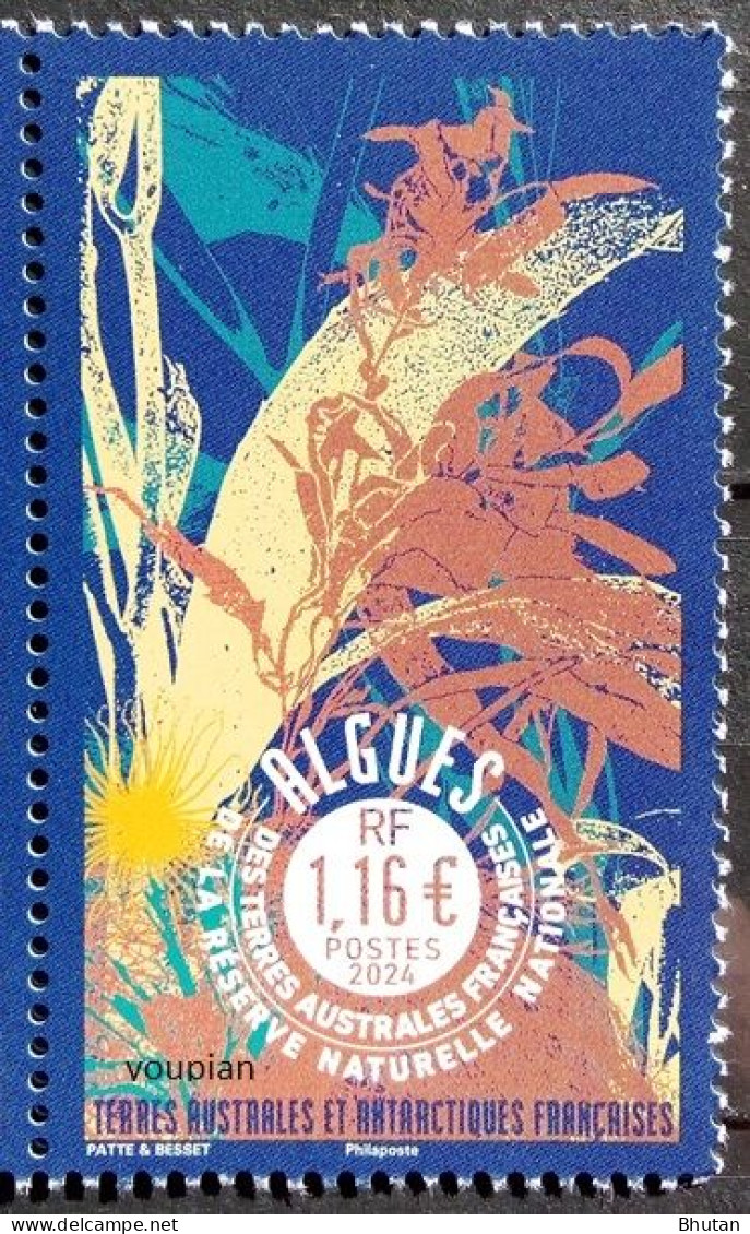 French Antarctic Territories 2024, Seaweed - Nature Reserve, MNH Single Stamp - Nuevos