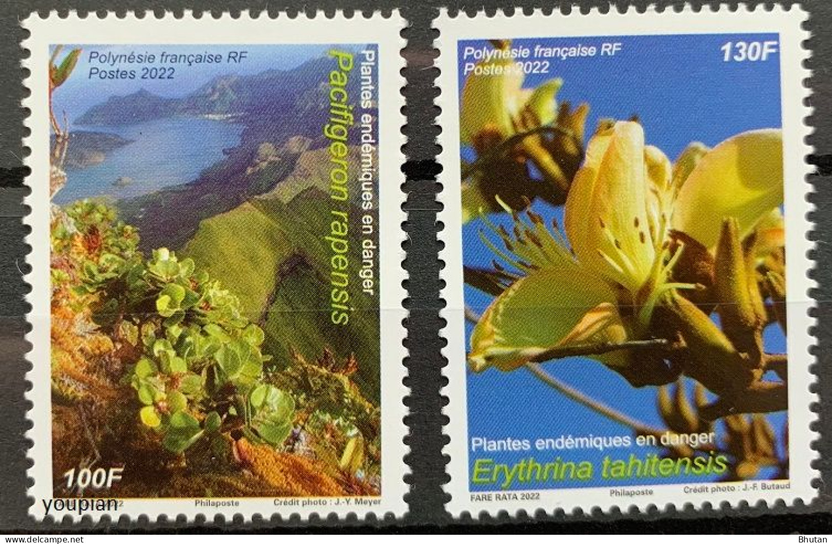 French Polynesia 2022, Pacifigeron Rapensis And Erythrina Tahitensis Plant, MNH Stamps Set - Unused Stamps