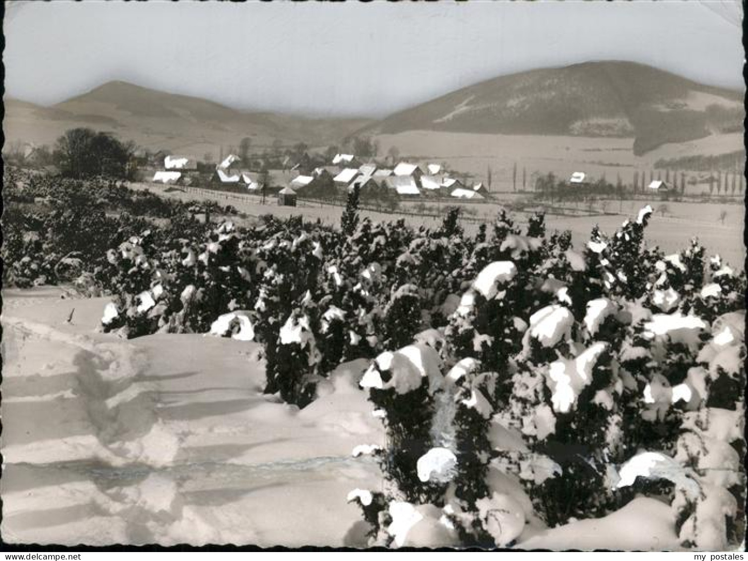 41203727 Altenhellefeld Winterlandschaft Sundern (Sauerland) - Sundern