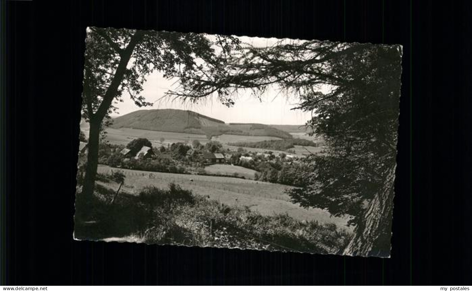 41203721 Altenhellefeld Panorama Sundern (Sauerland) - Sundern