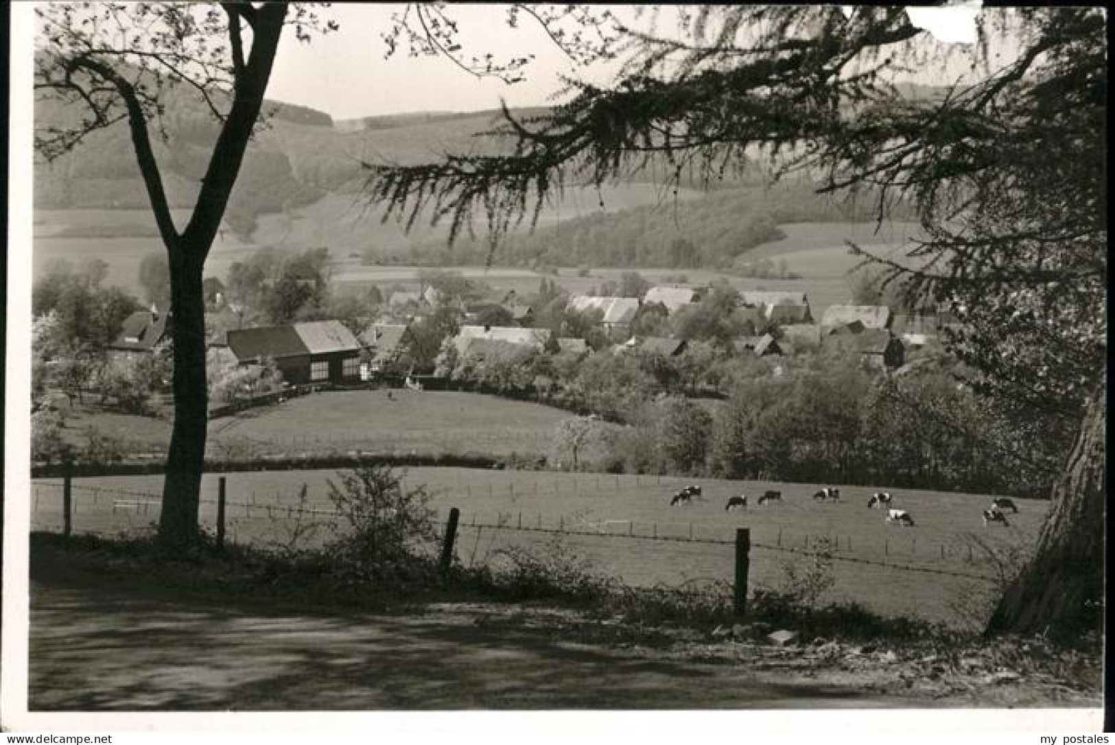 41203720 Altenhellefeld Panorama Sundern (Sauerland) - Sundern