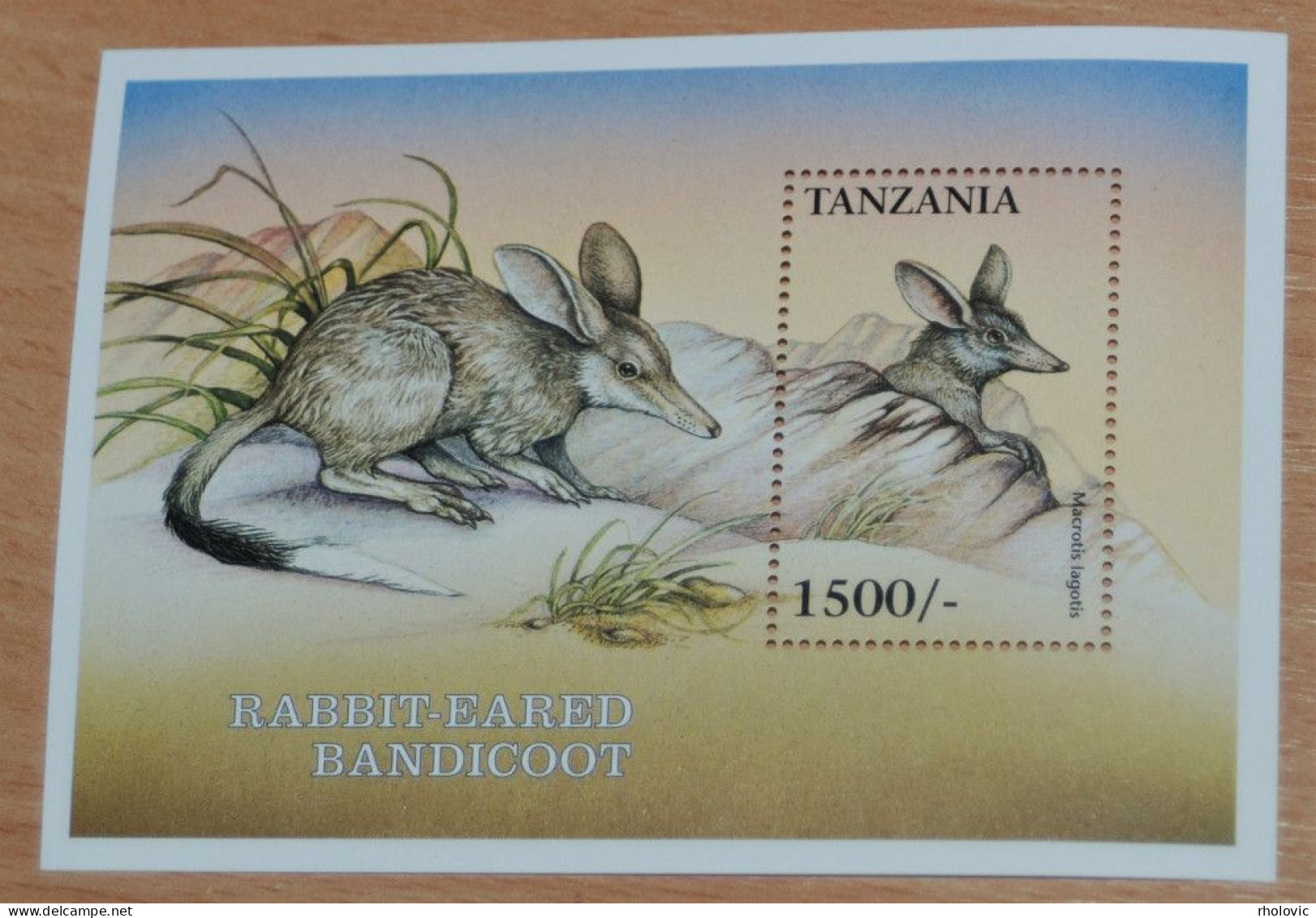 TANZANIA, Rabbit, Animals, Fauna, Souvenir Sheet, MNH** - Conigli