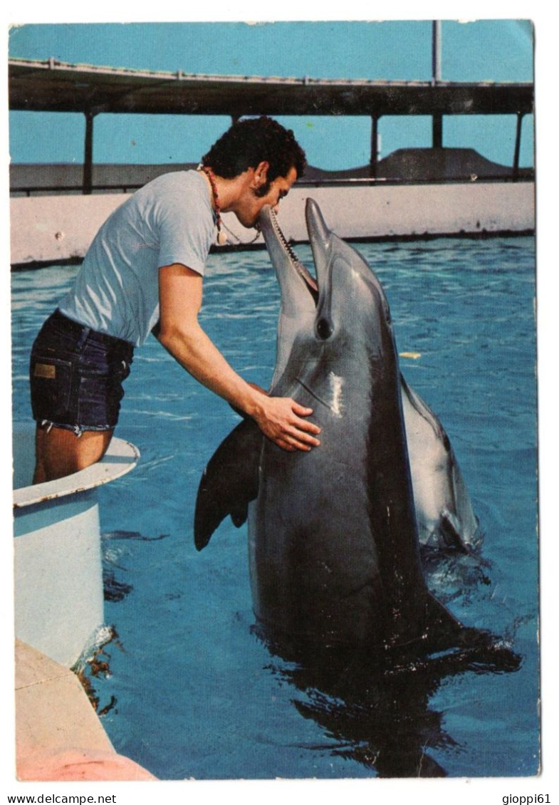 Delfini A Riccione - Dauphins