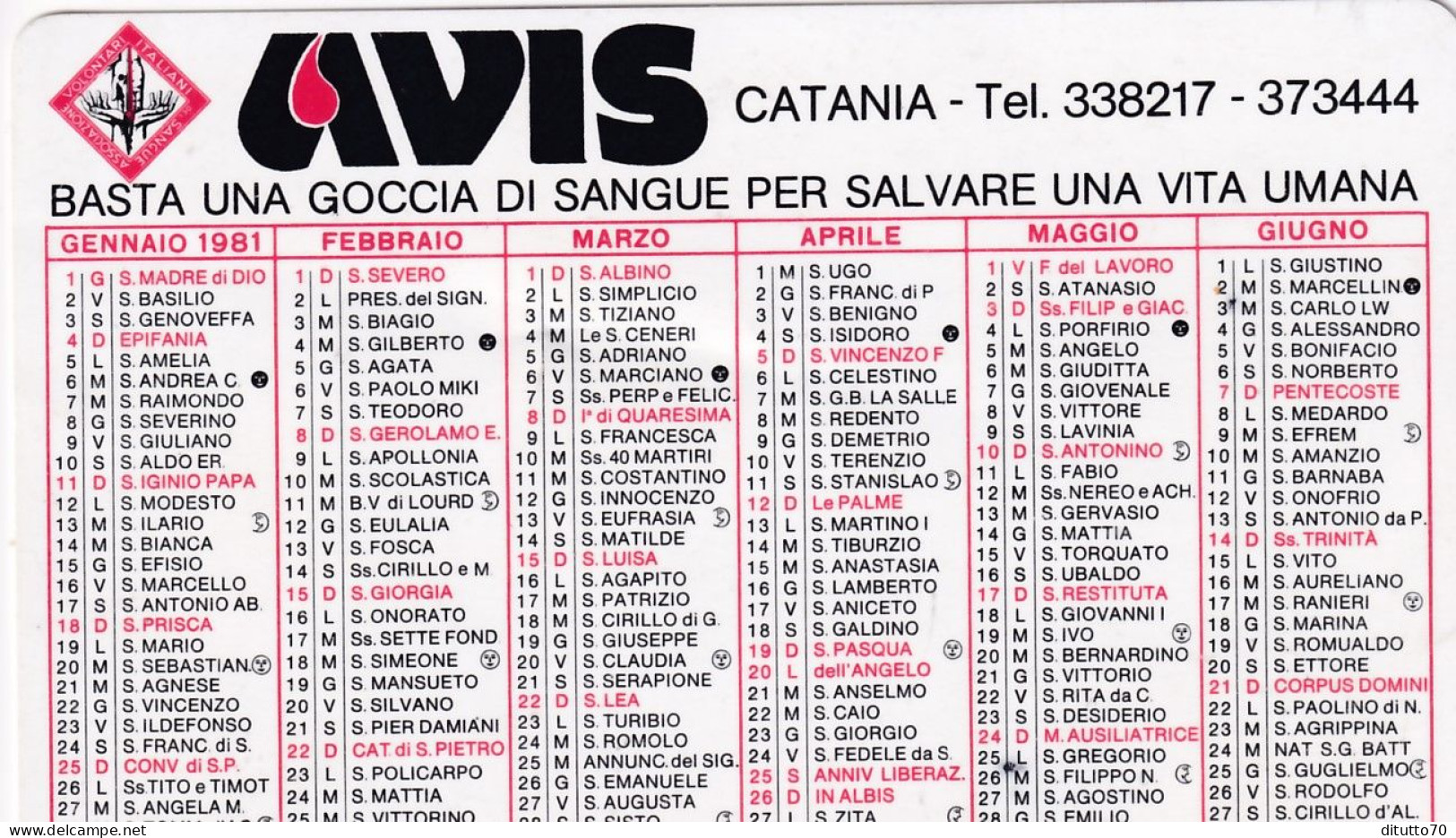 Calendarietto - A.v.i.s. - Catania - Anno 1981 - Petit Format : 1981-90