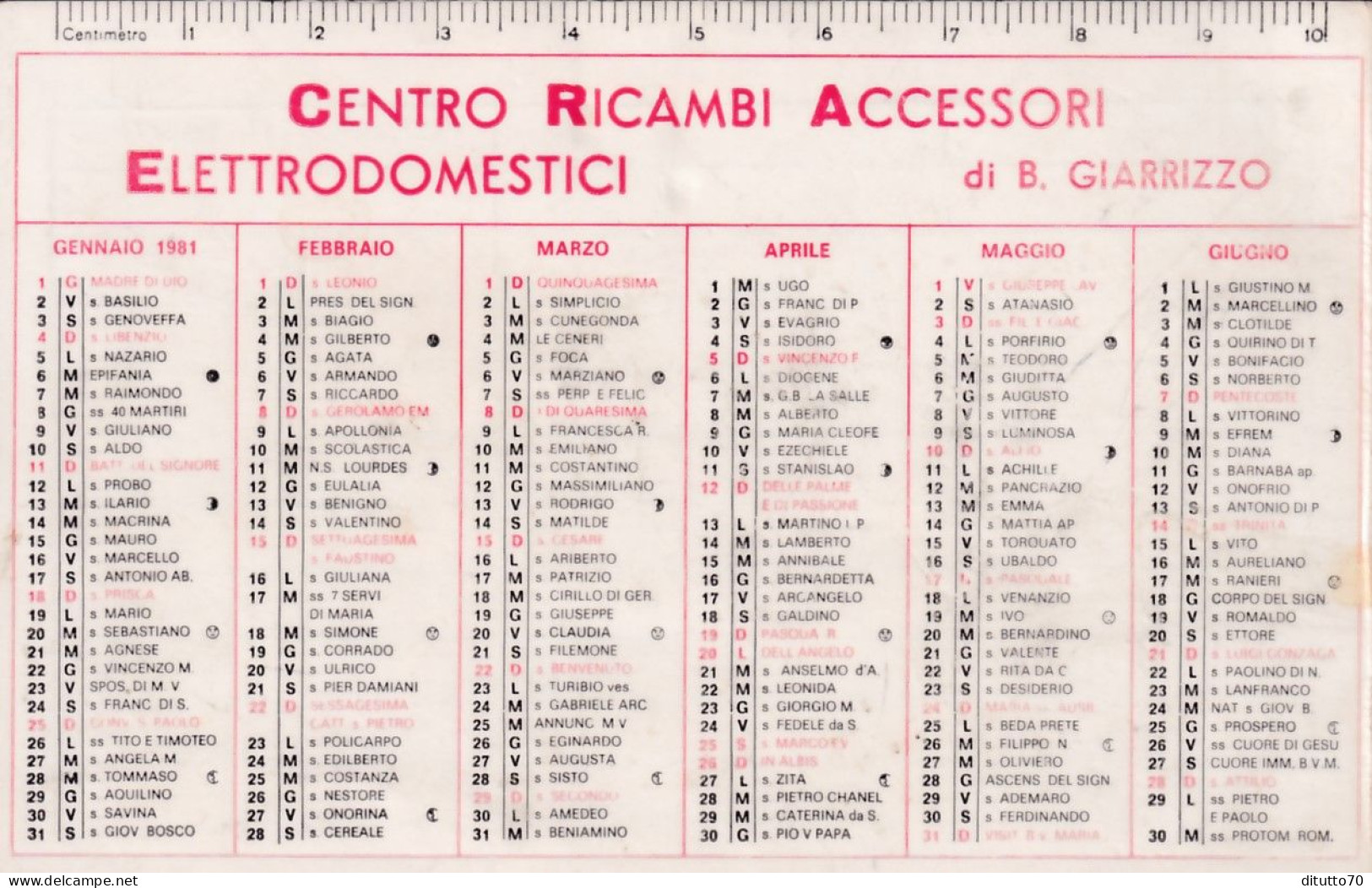 Calendarietto - Centro Ricambi Accessori - Elettrodomestici Di B.giarrizzo - Anno 1981 - Petit Format : 1981-90