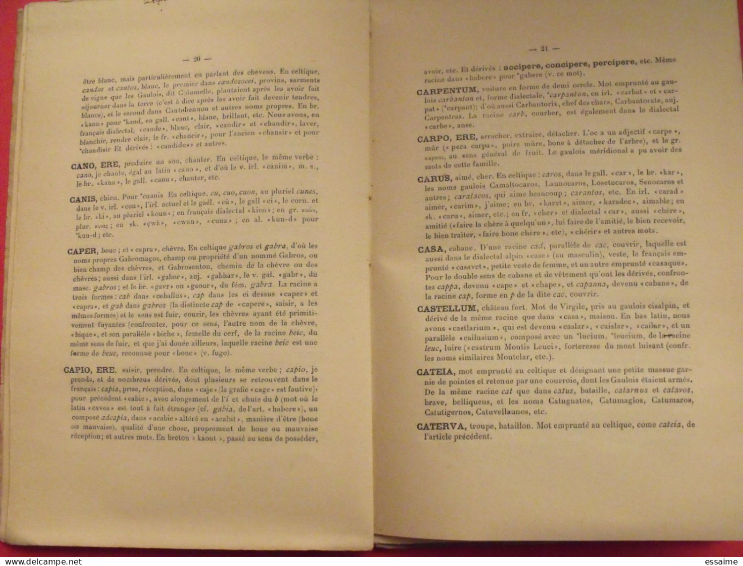 Dictionnaire Complétif Des Dictionnaires Latins . Parenté Latin Celtique. Pierre Malvezin. 1911 - 18+ Years Old