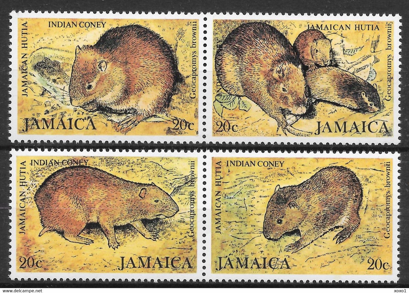 Jamaica 1981 MiNr. 500 - 503 Animals Jamaican Coney 4v   MNH** 1,20 € - Rodents