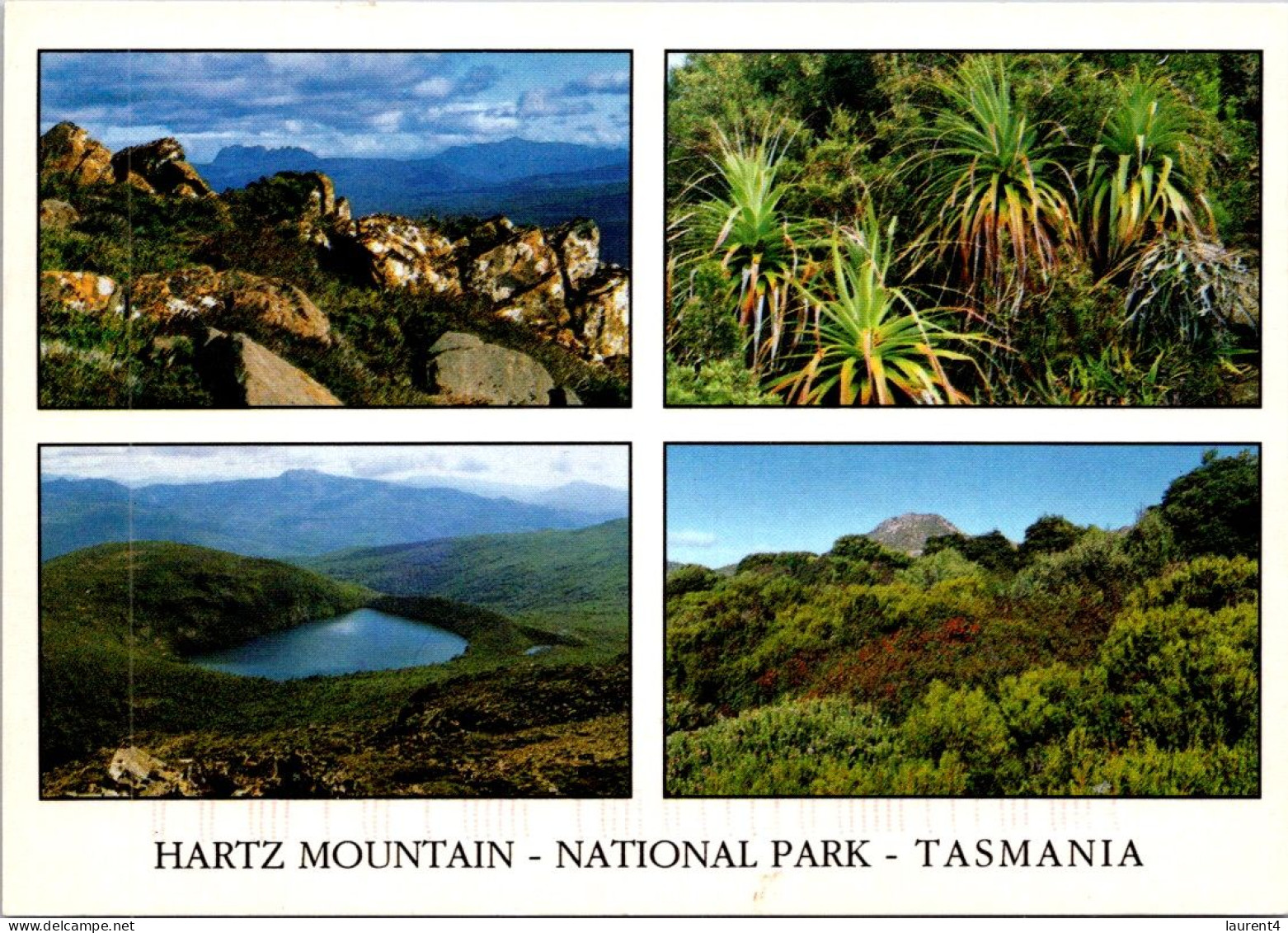 12-2-2024 (3   X 51 Australia - TAS - Hartz Mountain NP (with Flower Stamp) - Wilderness