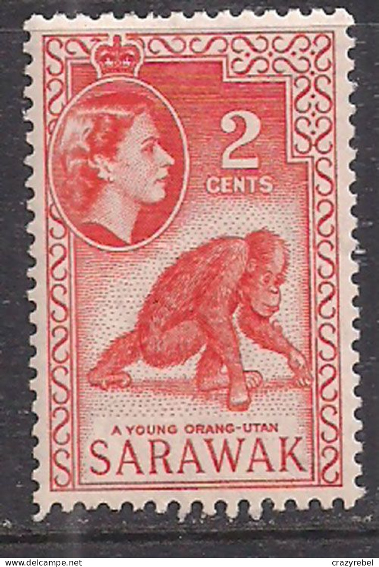 Sarawak 1955 QE2 2c Young Urang-Utan MLH SG 189 ( L937 ) - Sarawak (...-1963)