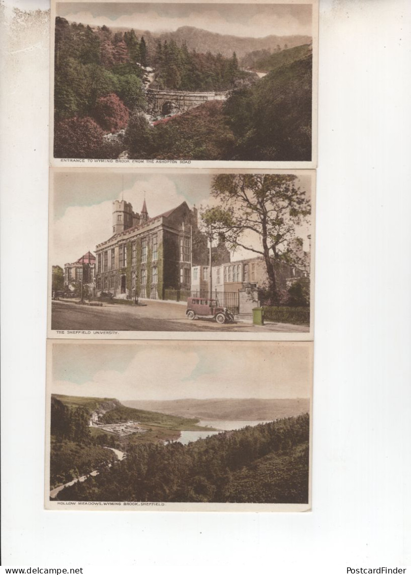 Sheffield Hollow Meadows University Ashopton Road 3x Postcard S - Sheffield