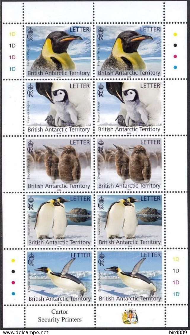 2023 BAT British Antarctic Territory Fauna Nature Bird Emperor Penguin Full Sheet Of 8 MNH - Neufs