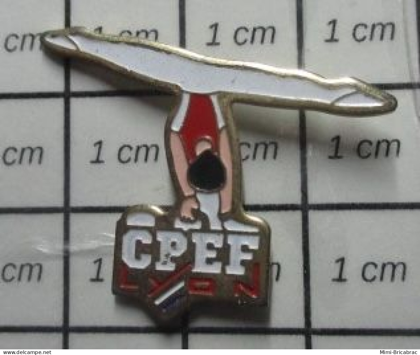 1417 Pin's Pins / Beau Et Rare / SPORTS / CPEF CLUB GYMNASTIQUE LYON - Gymnastics