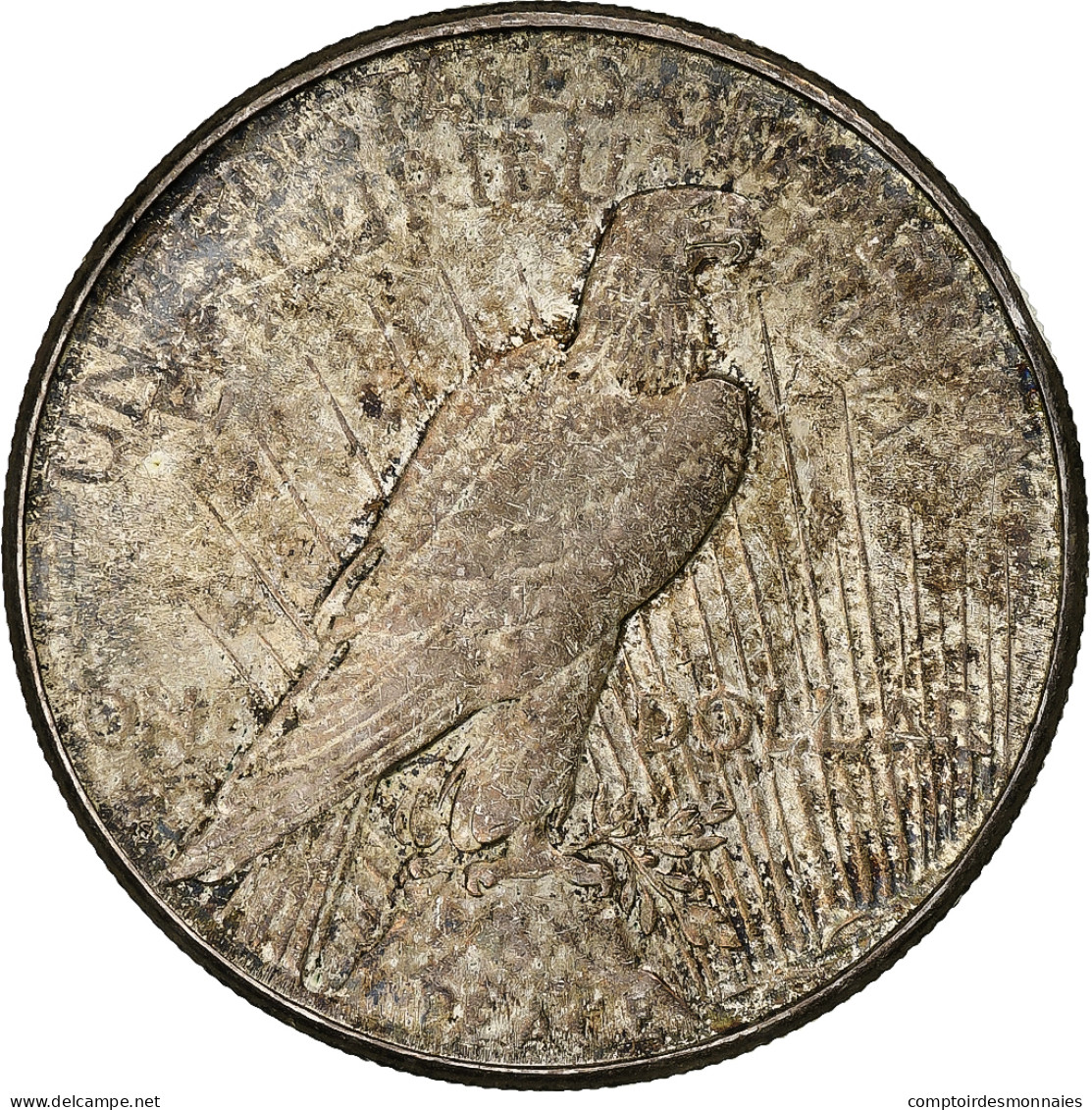 États-Unis, Dollar, Peace Dollar, 1923, Philadelphie, Argent, SUP, KM:150 - 1921-1935: Peace (Paix)