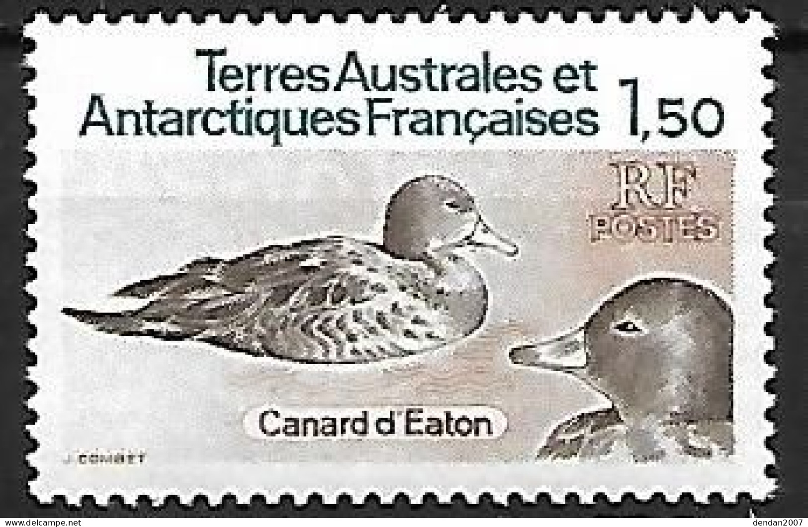 TAAF (French Antarctic Territory) : MNH ** 1983 : Eaton's Pintail  -  Anas Eatoni - Ducks