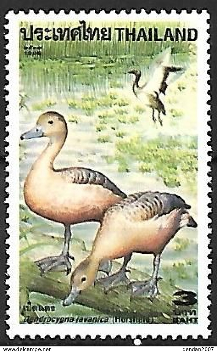 Thailand - MNH ** 1996 :   Lesser Whistling Duck  -  Dendrocygna Javanica - Ducks