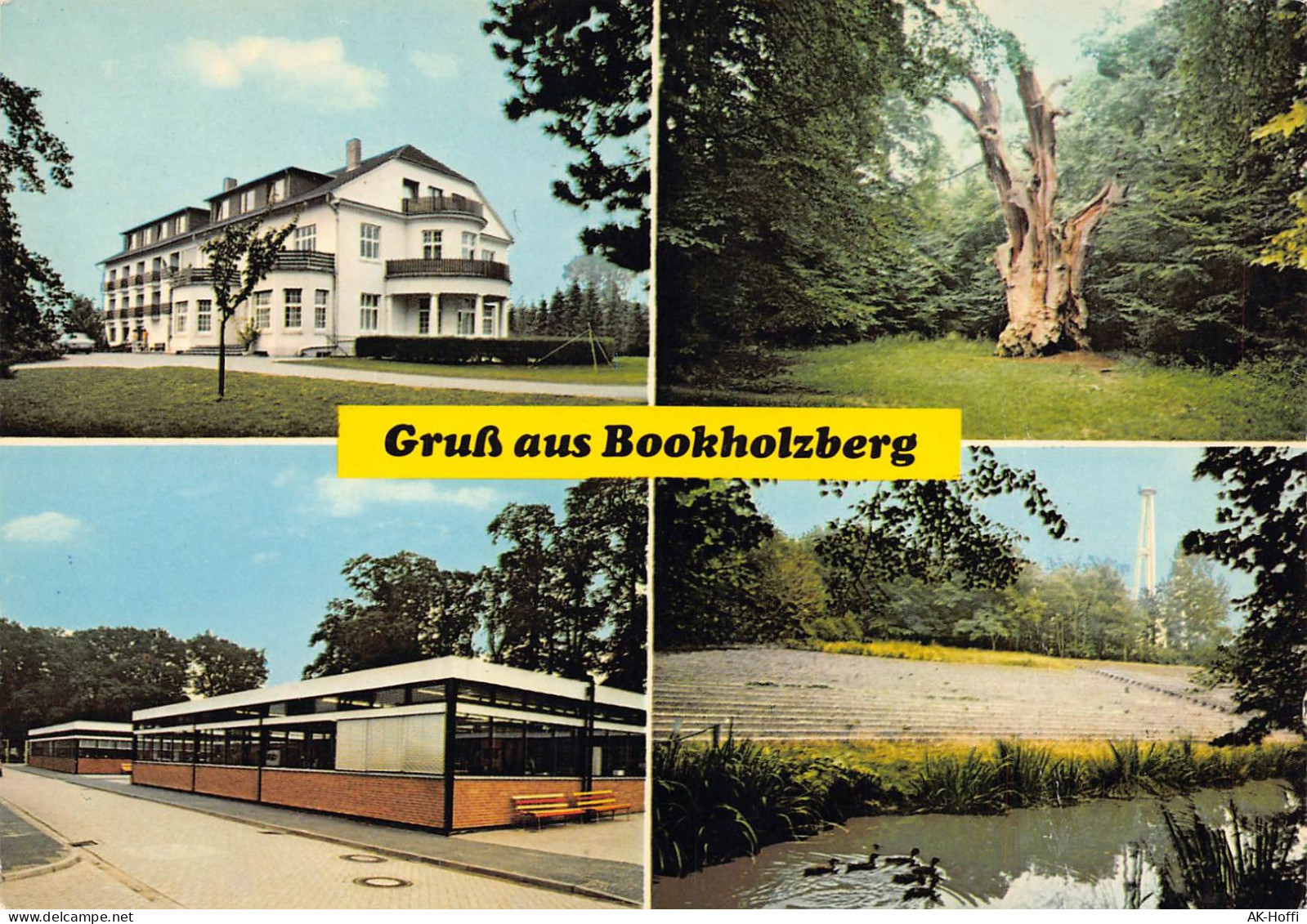 Bookholzberg Freizeitheim Alter Baum Freilichtbuehne Bookholzberg (732) - Ganderkesee