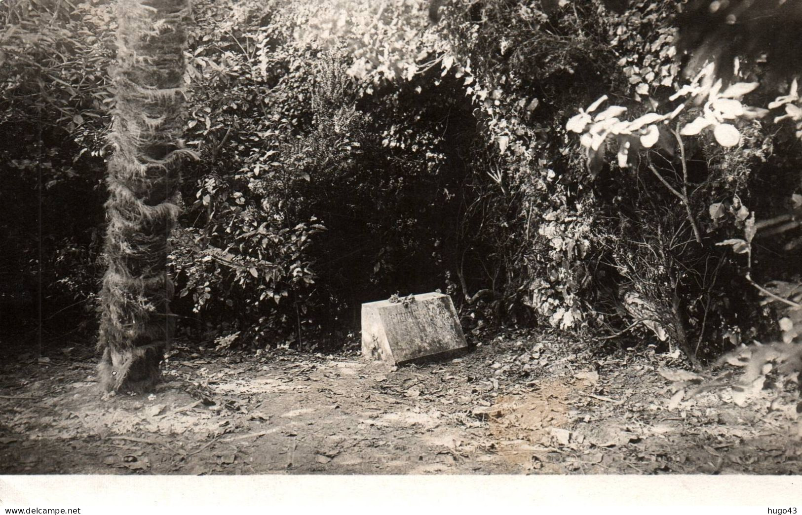 SAINT PIERRE D' OLERON - LE TOMBEAU DE PIERRE LOTI - MAISON DES AIEULES - CARTE PHOTO CPA - Saint-Pierre-d'Oleron