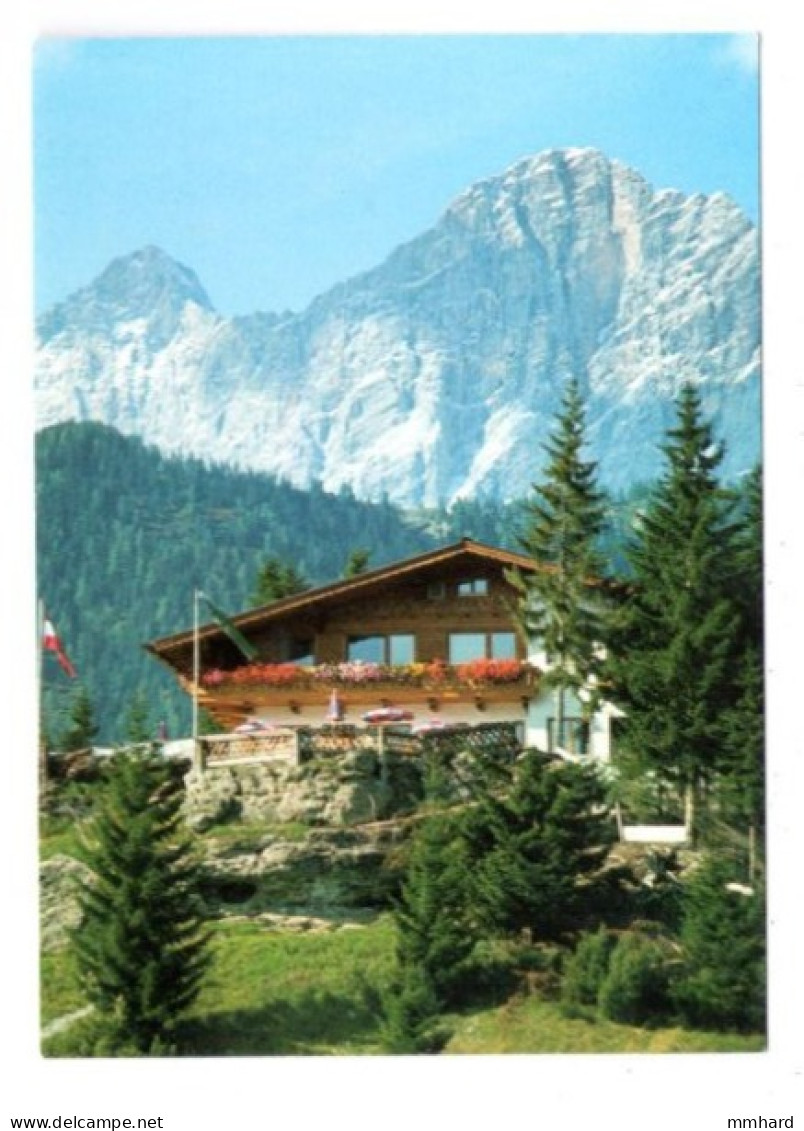 AK Cafe Restaurant Steinwildpark Ramsauer Alm Steiermark Austria Österreich - Ramsau Am Dachstein