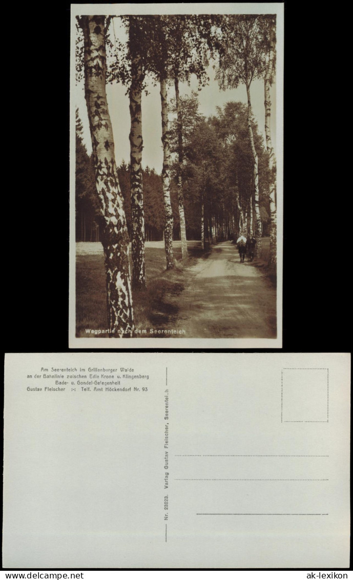 Ansichtskarte Dorfhain-Tharandt Wegpartie Nach Dem Seerenteich 1928 - Tharandt